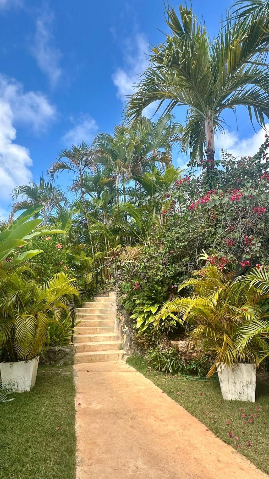 Villa Blanca Chambre D'Hotes Vue Sur Mer Las Terrenas Eksteriør billede